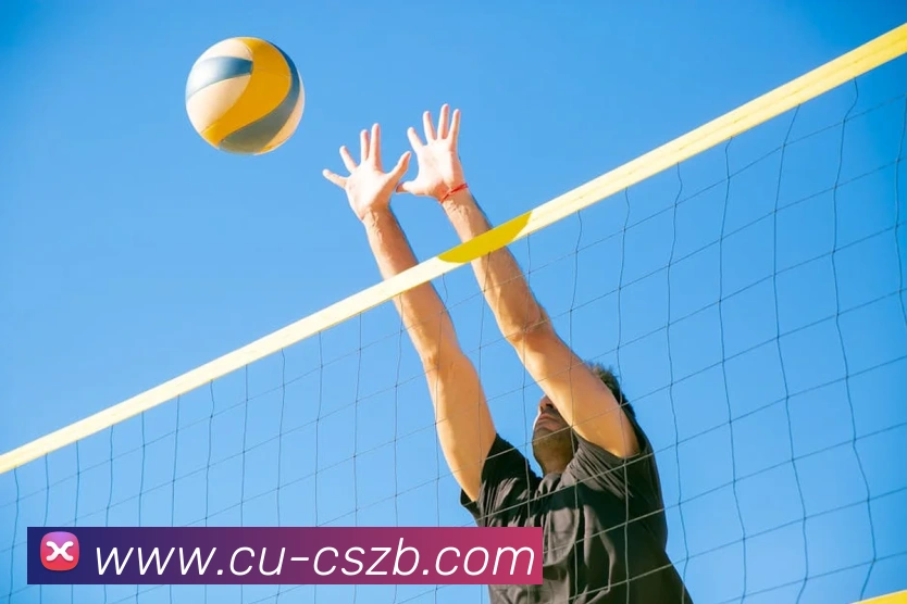 彩神争霸服务体系